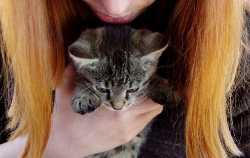 17 znamení, že jste narazili na kočkoholičku