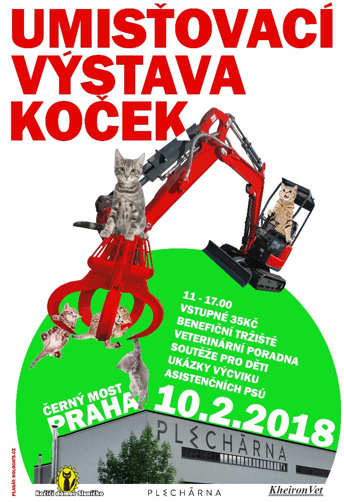 Pozvánka: UMISŤOVACÍ VÝSTAVA KOČEK BEZ DOMOVA 10. 2. 2018