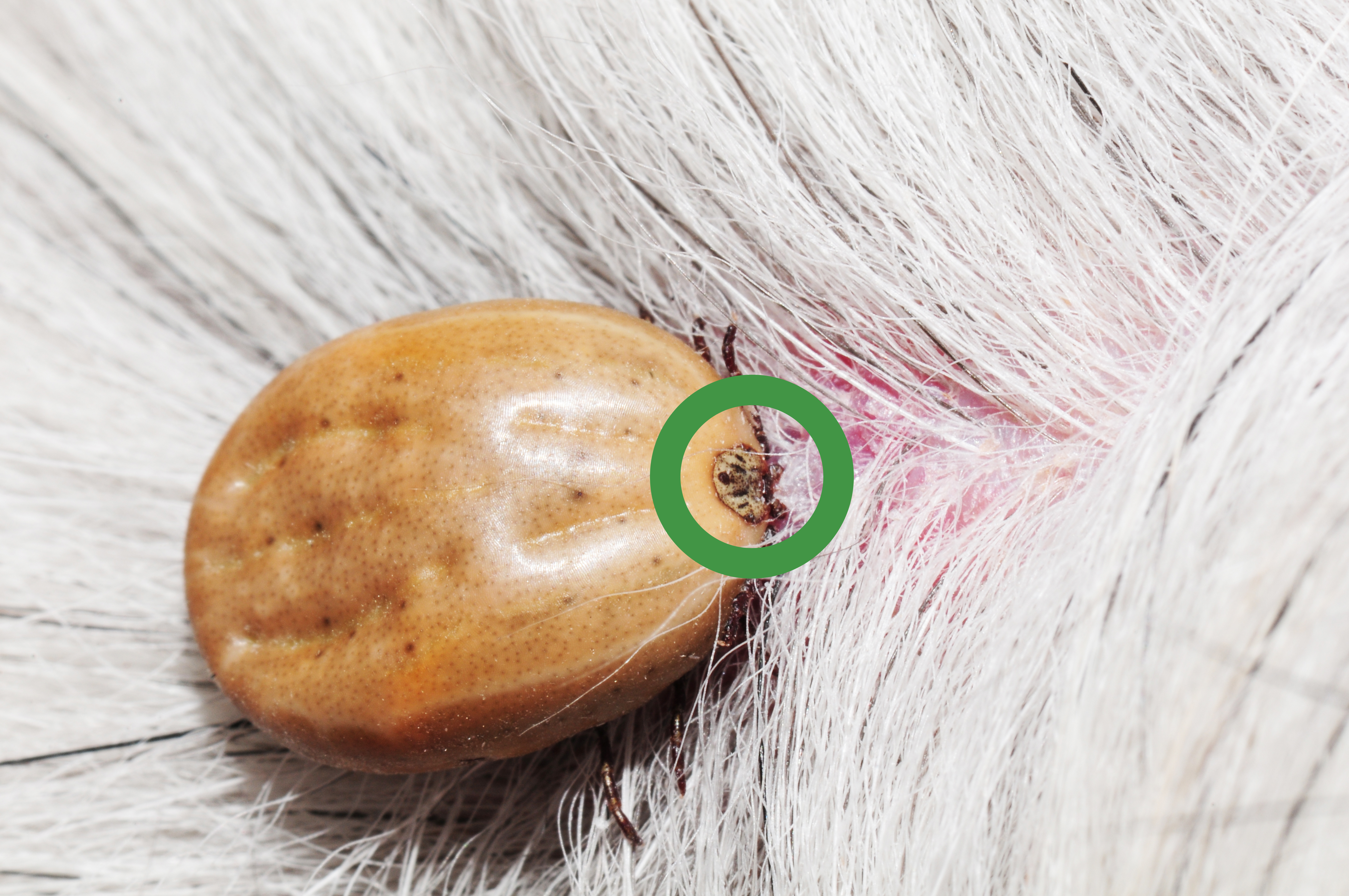 Zapojte se do projektu Najdi pijáka