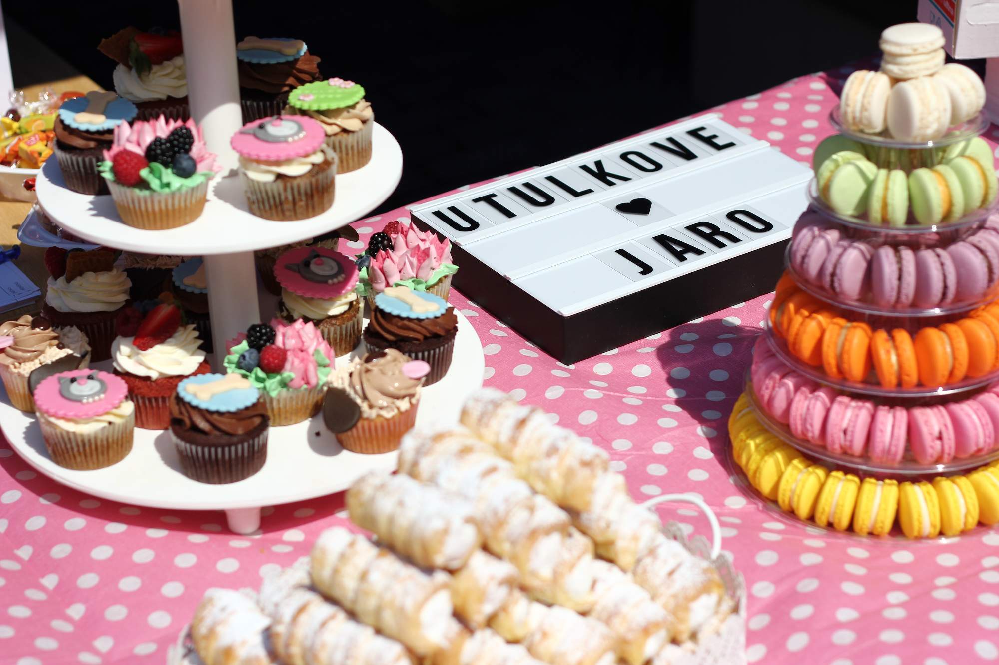 Přijďte s Němou tváří přivítat jaro do Útulku pro zvířata v nouzi Zlín-Vršava