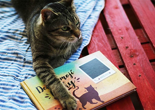 Tip pro všechny milovníky koček: Vytvořte svému mazlíčkovi stylový deník