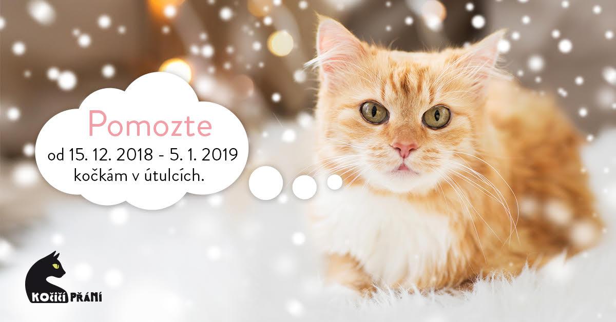 Kočičí přání 2018