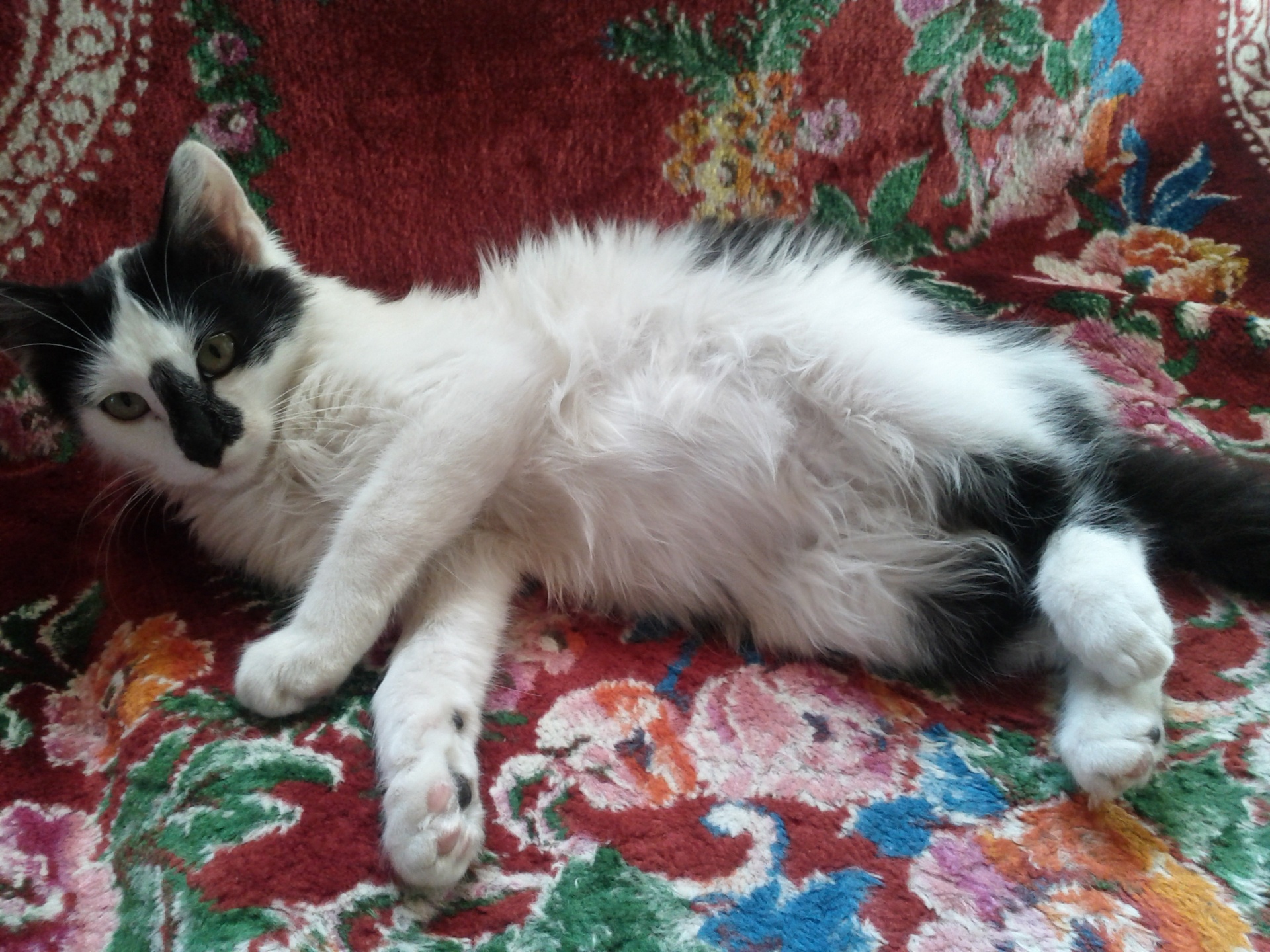 Na břicho mi prosím nesahej