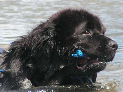 Předvedení vodních prací