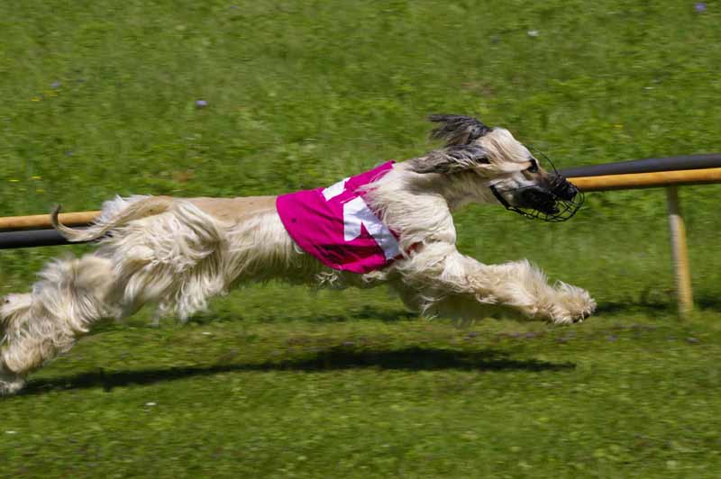 Pozvánka: KRÁSA A VÝKON