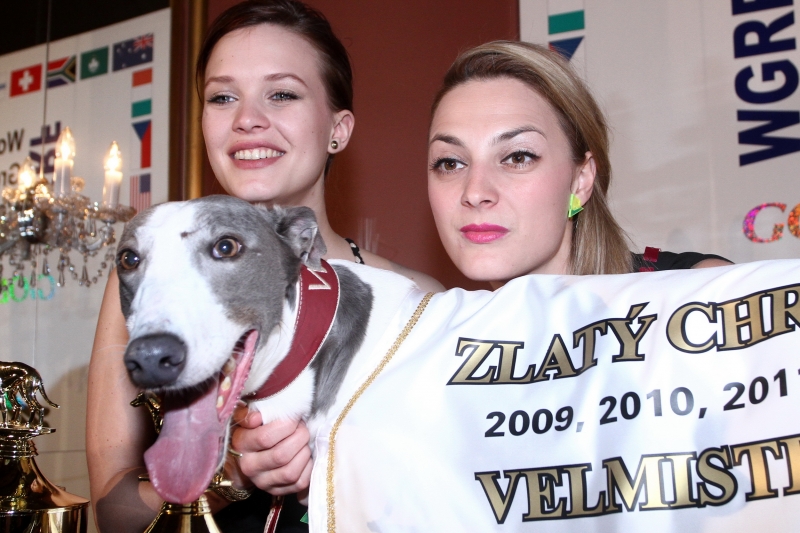  Chrtí &#8222;Oskaři&#8220; opět v Praze