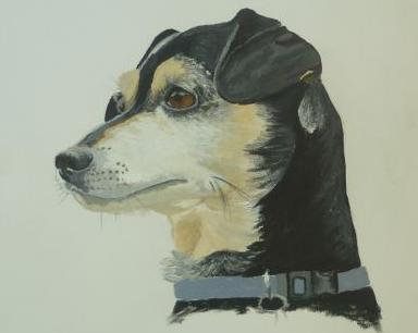 Charitativní aukce obrazů v Pardubicích