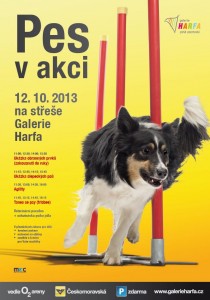 Pozvánka na poslední chvíli: Pes v akci