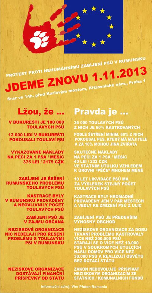 Další protest proti zabíjení psů v Rumunsku