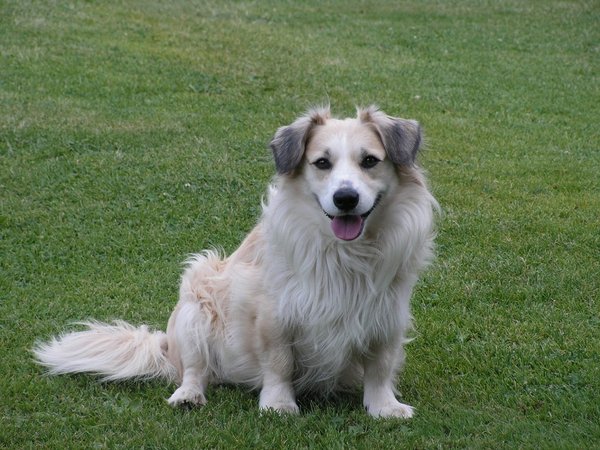 Vánoční sbírka - děkujeme za vaši podporu