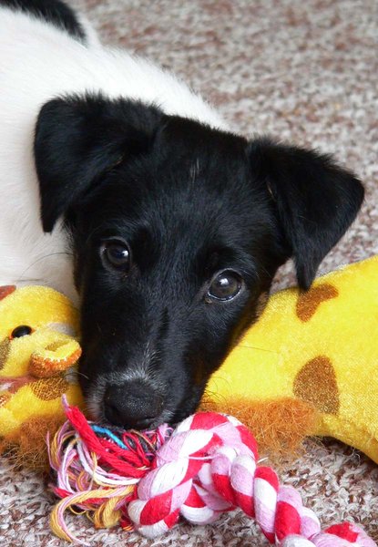 Pozvánka na veletrh