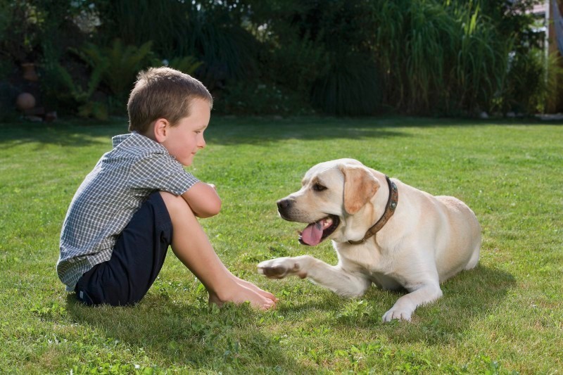 Aktivita klíšťat dosahuje vrcholu