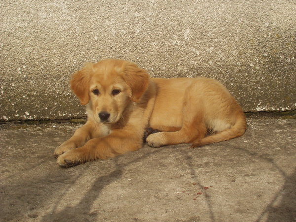 Pozvánka na veletrh