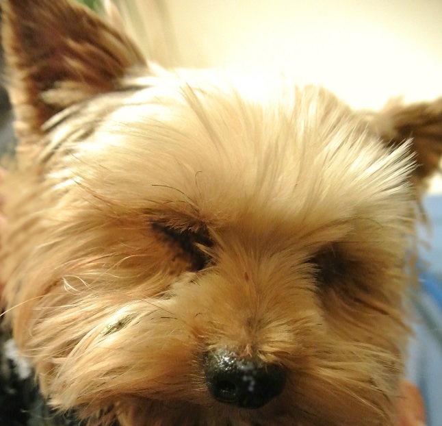 Množírna - peklo na zemi