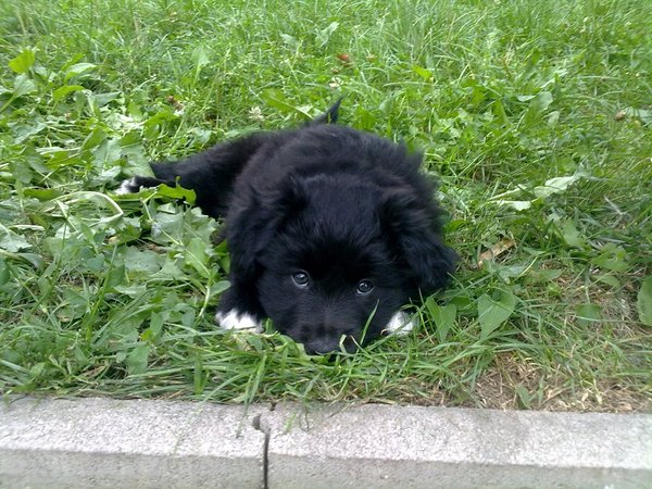 Útulek na Vršavě opět přivítá jaro