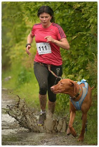 Běhejte se psem jako profík