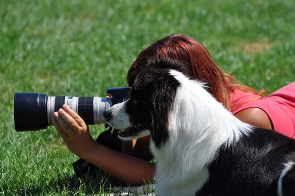 Jaký pes, takový pán?