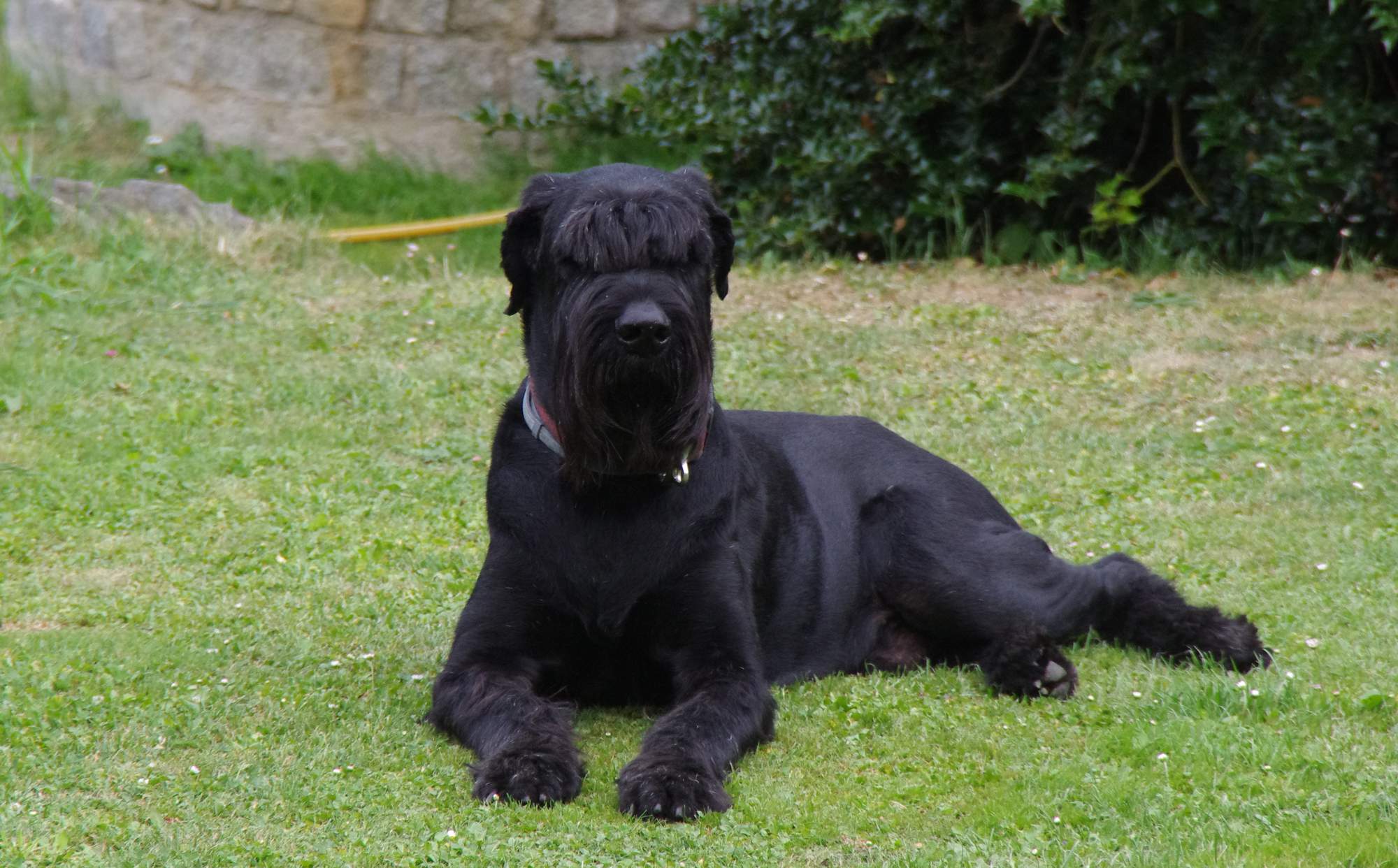 Úprava pelíšku před ulehnutím