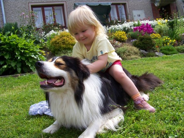 Pes si s dětmi rozumí