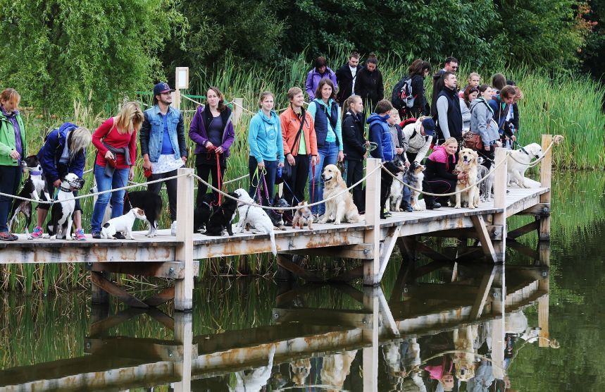 Monínec zažil psí rekord