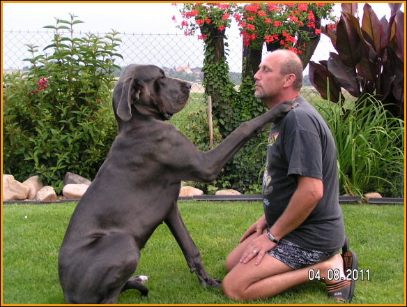 11 znaků, že jste tak trochu posedlí svým psem