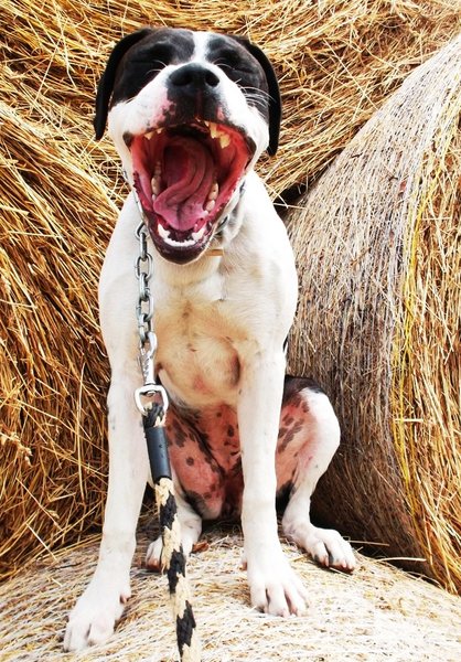 Zívání – únava i stres