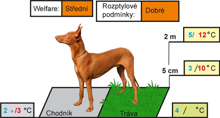 Novinka: Počasí pro psy