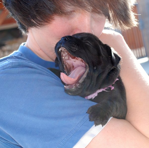 Jak zvířata prospívají lidem?