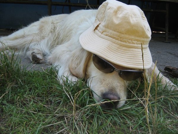 Co zařídit před cestou do zahraničí?