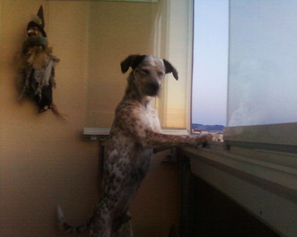 Parapet jako pozorovací zóna