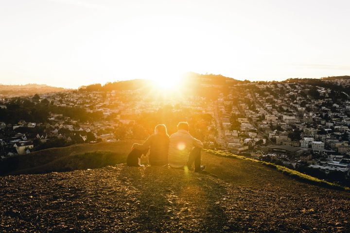 Dovolená s domácím mazlíčkem? Zkuste pet-friendly Airbnb!