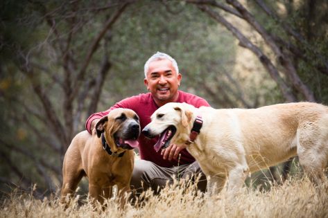 Nejpopulárnější cvičitel psů Cesar Millan poprvé v Čechách