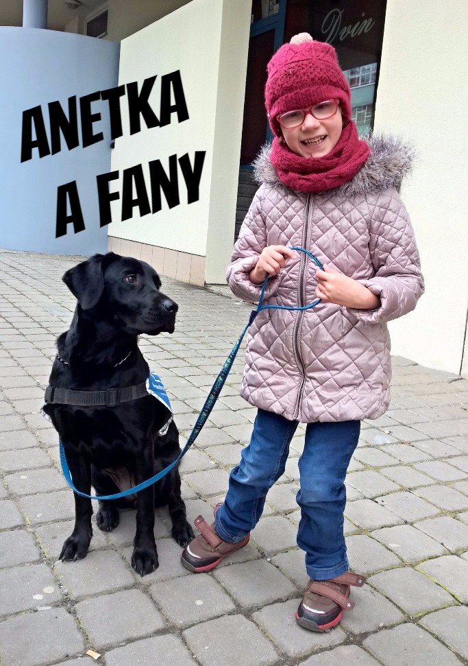 Dobré zprávy v novém roce