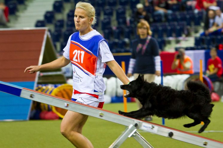Mistrovství světa v agility 2017 míří do Liberce