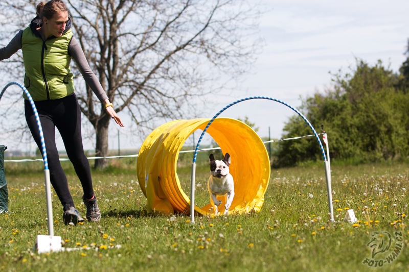 Ohlédnutí za prvními hoopers závody v Česku