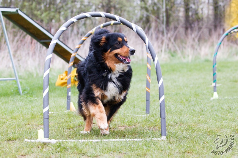 Hoopers, nový sport bez hranic